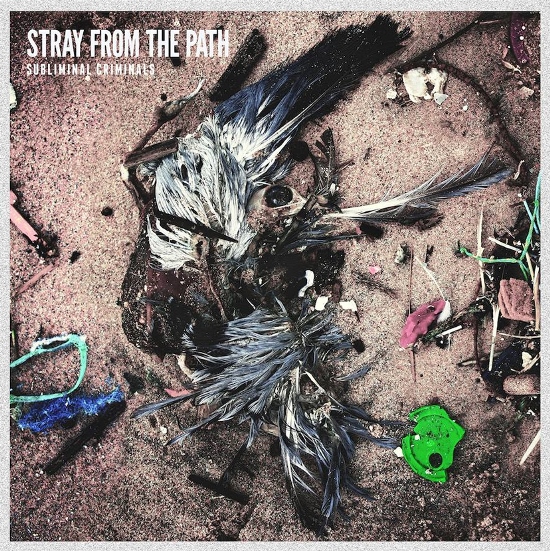 Stray From The Path 1