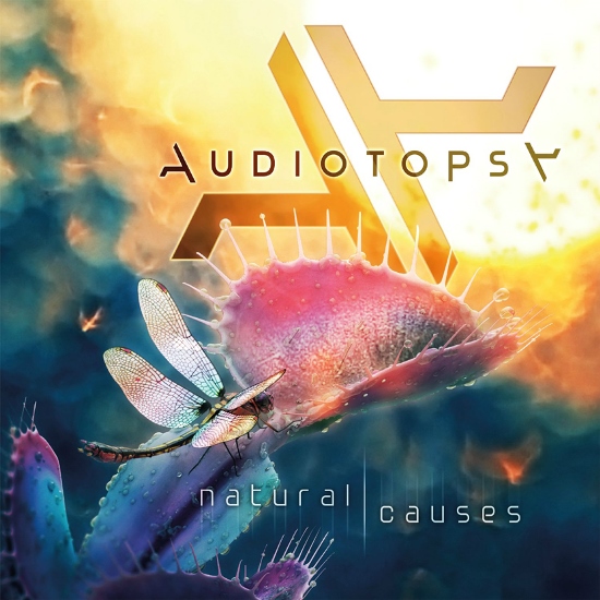 Audiotopsy 3