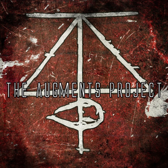 The Augments Project 1