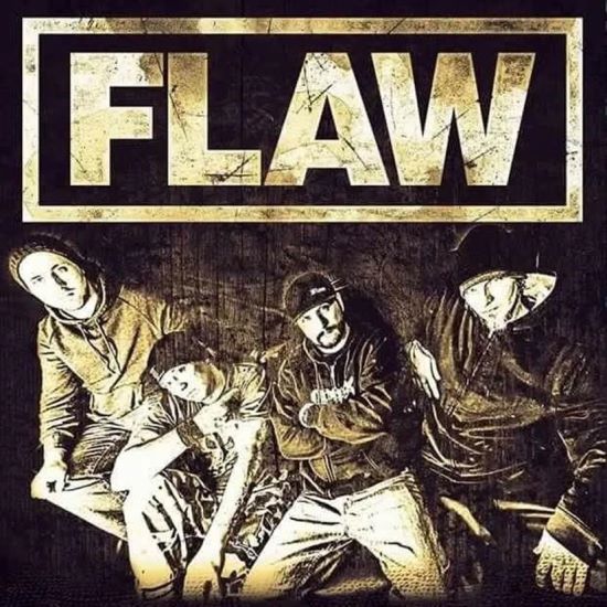 Flaw 2