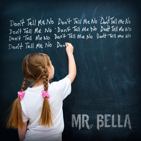 Mr. Bella 2
