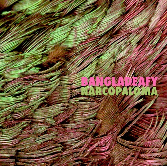 Bangladeafy 2